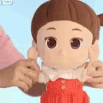 오늘 벽플