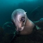 자세히 보면 은근 귀여운 해양<b>생물</b>들