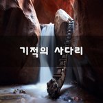 [좋은생각] 기적의 사다리~