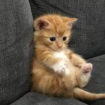 전문대 어<b>캐생각</b>해