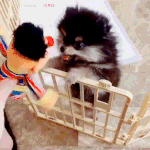 내 <b>팬</b>아<b>저</b>는 그냥
