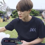 [NCT] <b>시</b><b>츄</b> 키웠었단 말을 개잘생기게 하네