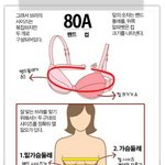 [19] 가슴은 원래 <b>상상속</b> 사이즈랑 실물이랑 다름