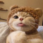 귀여운 고양이 꼬옥 <b>안아</b>주면 되...