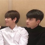 <b>백도</b>?오백? 사진