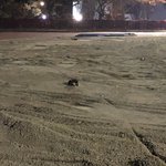 [댓글부탁해] 아파트 앞에 운동장 인조<b>잔디</b> 갈아엎는중인데