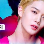 이거 한번만 봐주라