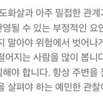 와 <b>사주</b> 진짜 어느정도 들어맞네