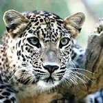 우리 독서실 예<b>민충</b>새끼