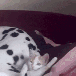 근데 너네도 소녀시대 원탑 <b>윤아라</b> 생각해?