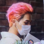 [위너] 인서들아 공지 좀 지켜ㅜㅜㅜ