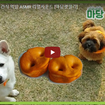 이걸 먹으라고 준거냐?