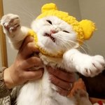 와 옵치 개빡침