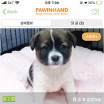 강아지 이름좀 <b>지어</b>줘
