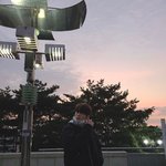 오늘 정군 <b>유사</b>녀들 단체로 기절함
