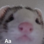틱톡보는사람