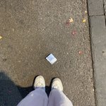 [드루와] <b>xs</b>에서 se2로 바꾸는거 호구임?