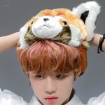 너구리 <b>모에</b>화 남돌은 처음임
