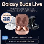 대성 <b>버즈</b> 없는 19패스는 없냐