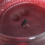 [드루와] 이거좀 위험할수도잇는데 느낌 개<b>스무스</b>함