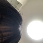 잎머리<b>자름</b>