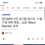 에스파 11월 17일 데뷔 <b>확정</b>