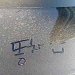 쟤가 세차하래