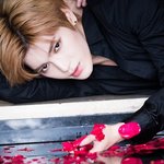 <b>제법</b> 신기한사진..