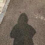 내 <b>실루엣</b>만 보고 내가 누군지 맞힐 수 있는사람