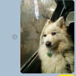 아빠가 내 톡 <b>읽씹</b>함
