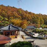 가을단풍