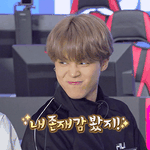 [방탄소년단] 내 존재감 봤지?!