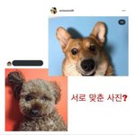 <b>이도현</b>도 터졌네..