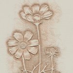 [가죽공예] 가죽공예-코스모스 <b>카빙</b>(대구가죽공예)