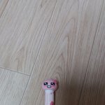 피치 조아해서