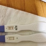 [19] 임테기 봐줘