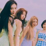 레드벨벳의 미래