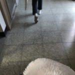 __ <b>보충</b> 잘못들어가서 나오고 걍 집갈라햇는데