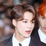 이 사진은 옵이다 <b>깅이</b>다?