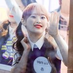 [모두드루와] 내 남돌 최애들