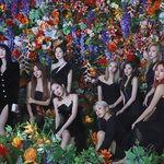 [원스모여봐] 이번 앨범 수록곡 최애는?