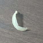 얘들아 내 <b>발톱</b> 볼래...?