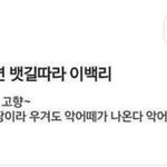 [댓글부탁해] 진짜진짜 좋아하는 인스타스타 있었는데