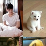 [김재중] ㅅㄷ 아~~이거 너무 귀엽지 않아???