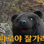 당신의 선택은~!?ㅋ