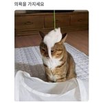 [댓글부탁해] <b>남친</b>때메 너무 기분이 안좋은데 얘가 <b>잘못</b>한건 없어
