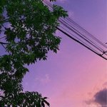 make a <b>wish</b> 내현실로 스며들어