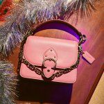 코치 홀리데이 캠페인 신상 완전 취<b>저당</b>했다ㅠㅠ