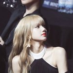 모순적인 <b>우아</b>한 관능미 가짐