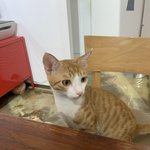 [댓글부탁해] 초<b>초초</b>